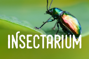 CE PRINTEMPS À ESPACE POUR LA VIE