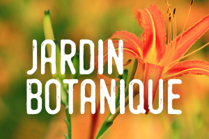 CE PRINTEMPS À ESPACE POUR LA VIE