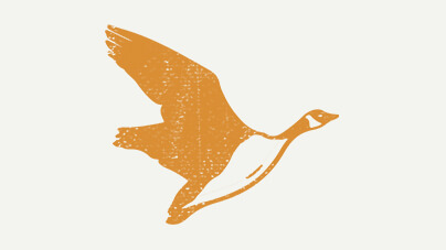 Migrations d’oiseaux
