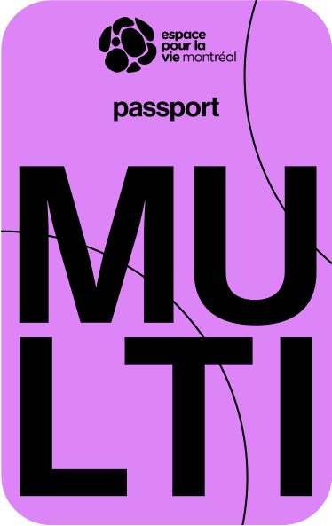 Multi Passport