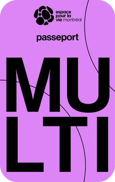 Passeport Multi