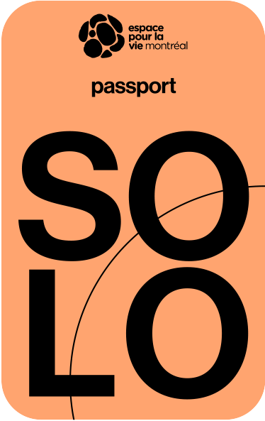 Solo Passport
