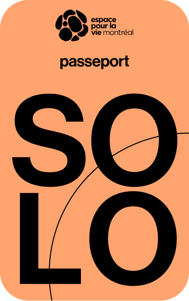 Passeport Solo