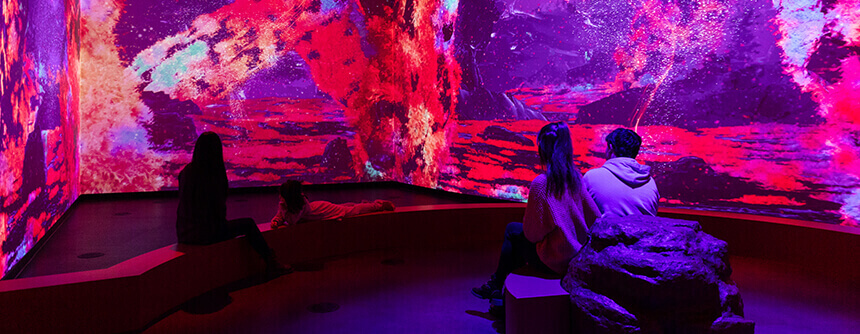 <small>Planétarium</small><span>L’été c’est fait pour</span> rêver