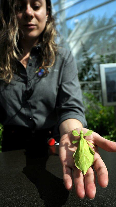 L'instant d'une rencontre