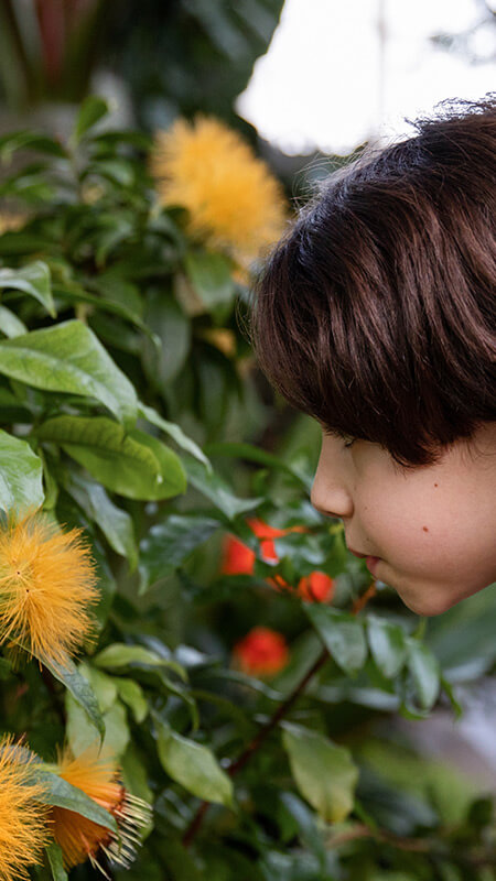 Un jardin printanier dans&nbsp;la&nbsp;Grande&nbsp;serre&nbsp;d’exposition