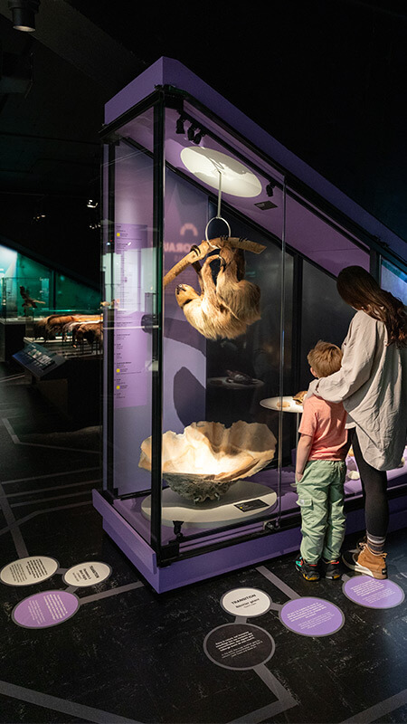 Une nature tissée serrée