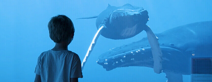 <small>Semaine de relâche&nbsp;: 28&nbsp;février&nbsp;au&nbsp;8&nbsp;mars</small>GRANDES <span>découvertes</span>