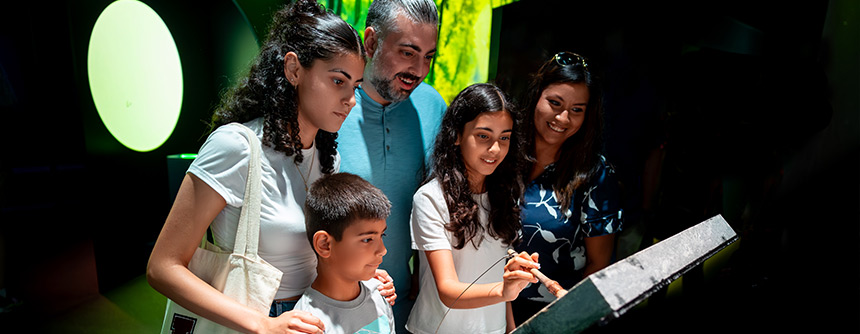 1 PASSEPORT<span>, 5 destinations</span>