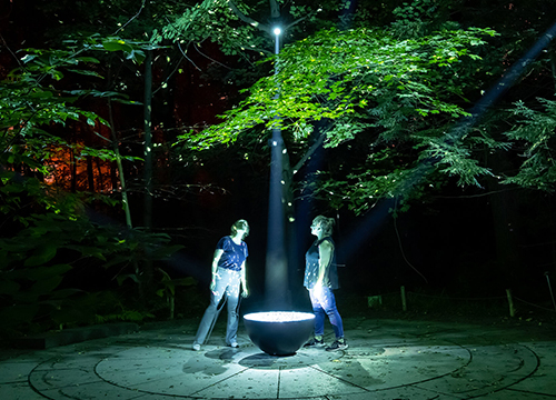 Jardin botanique