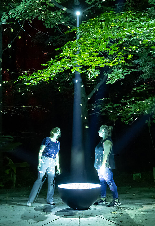 Jardin botanique